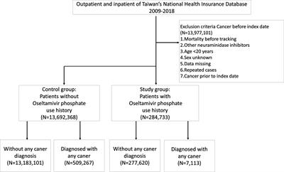 Impact of oseltamivir on the risk of cancer